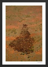Load image into Gallery viewer, White Wells