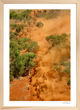 Load image into Gallery viewer, West Carawine