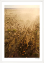Load image into Gallery viewer, Long Walk Home