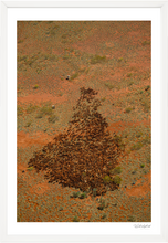 Load image into Gallery viewer, White Wells