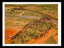 Load image into Gallery viewer, Johnny Rowe