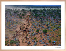 Load image into Gallery viewer, Blue Bush