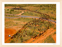 Load image into Gallery viewer, Johnny Rowe