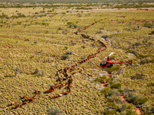 Load image into Gallery viewer, Single File Please