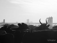 Load image into Gallery viewer, Marble Bar