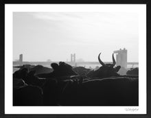 Load image into Gallery viewer, Marble Bar