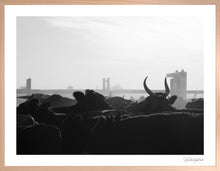 Load image into Gallery viewer, Marble Bar