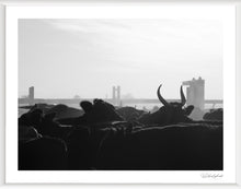 Load image into Gallery viewer, Marble Bar