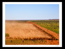 Load image into Gallery viewer, Slow Droving