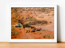 Load image into Gallery viewer, Yarding breeders in the high country of Tom Price