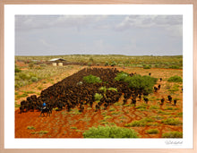 Load image into Gallery viewer, Mob of Wagyu