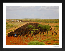 Load image into Gallery viewer, Mob of Wagyu