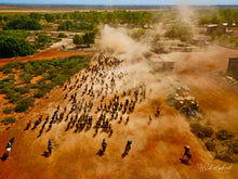 Load image into Gallery viewer, The Horses