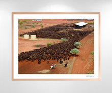 Load image into Gallery viewer, Wagyu