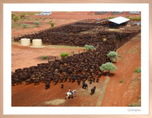 Load image into Gallery viewer, Wagyu