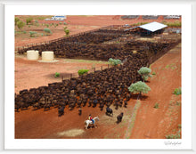 Load image into Gallery viewer, Wagyu