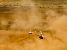 Load image into Gallery viewer, Done and Dusted