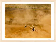 Load image into Gallery viewer, Done and Dusted