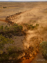 Load image into Gallery viewer, Pilbaddy Creek