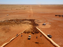 Load image into Gallery viewer, Pump Well