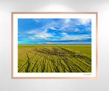 Load image into Gallery viewer, Flood Plain