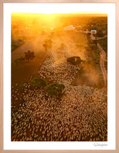 Load image into Gallery viewer, Merino Sunset