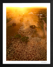 Load image into Gallery viewer, Merino Sunset