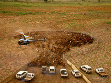 Load image into Gallery viewer, 1000 Cleanskins