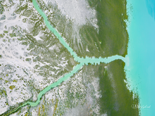 Load image into Gallery viewer, Roebuck Bay