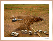 Load image into Gallery viewer, 1000 Cleanskins