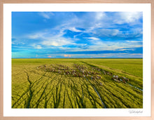 Load image into Gallery viewer, Flood Plain