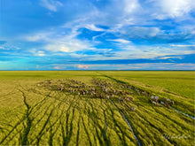 Load image into Gallery viewer, Flood Plain