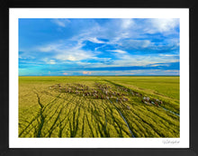 Load image into Gallery viewer, Flood Plain