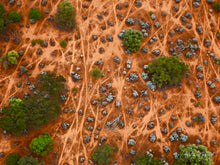 Load image into Gallery viewer, Sheep Pads