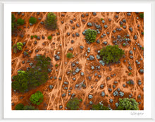 Load image into Gallery viewer, Sheep Pads