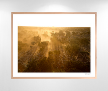 Load image into Gallery viewer, Sunset Muster