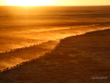 Load image into Gallery viewer, Heading to Water