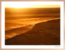 Load image into Gallery viewer, Heading to Water