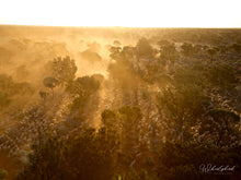 Load image into Gallery viewer, Sunset Muster