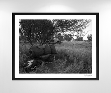 Load image into Gallery viewer, The Essentials