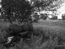 Load image into Gallery viewer, The Essentials