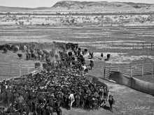 Load image into Gallery viewer, Wild West