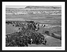 Load image into Gallery viewer, Wild West