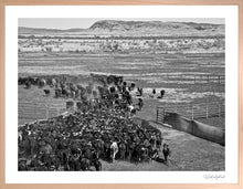 Load image into Gallery viewer, Wild West