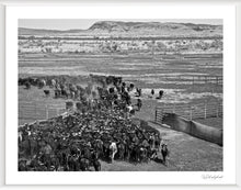 Load image into Gallery viewer, Wild West