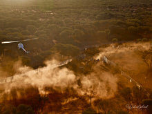 Load image into Gallery viewer, Yard Up at East Well