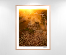 Load image into Gallery viewer, Merino Sunset