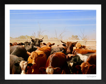 Load image into Gallery viewer, Cleanskins