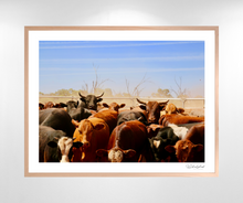 Load image into Gallery viewer, Cleanskins