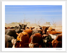 Load image into Gallery viewer, Cleanskins